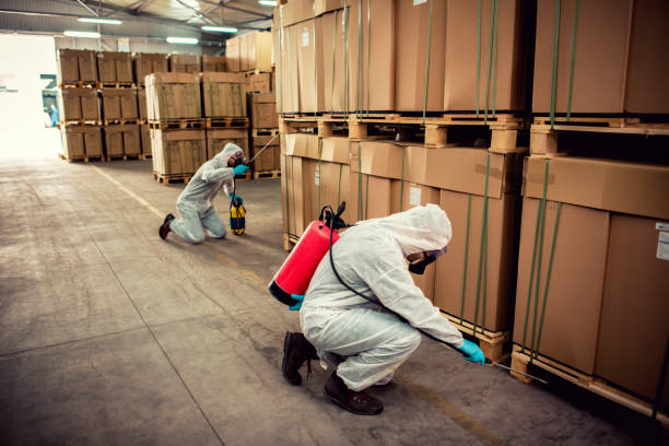 Best Affordable Pest Control Services  in Cleora, OK