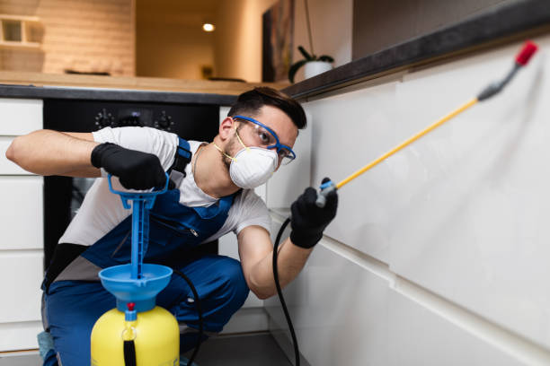 Best Ant Control Services  in Cleora, OK