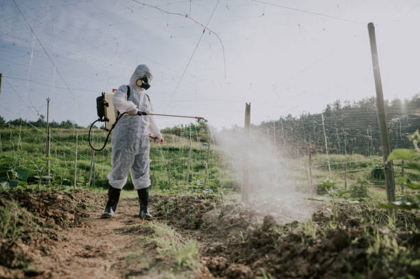 Best Local Pest Control Services  in Cleora, OK