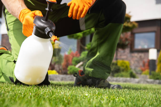 Best Pest Inspection Near Me  in Cleora, OK