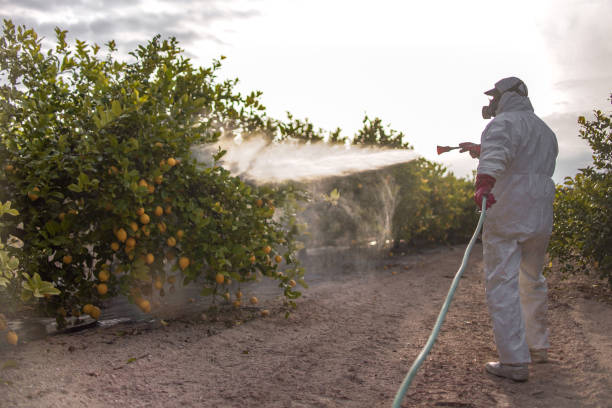 Best Residential Pest Control  in Cleora, OK