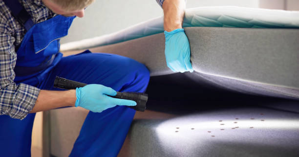 Best Wasp Removal Services  in Cleora, OK