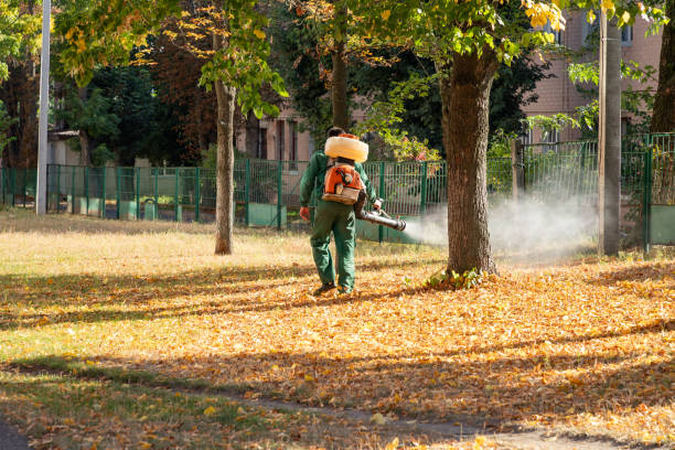 Best Residential Pest Control  in Cleora, OK