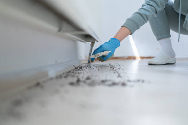 Trusted Cleora, OK Pest Control Experts
